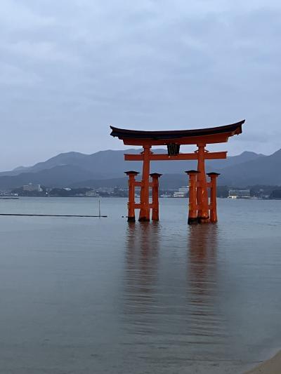 トクたびマイルで連続弾丸旅行。広島→岩国その２