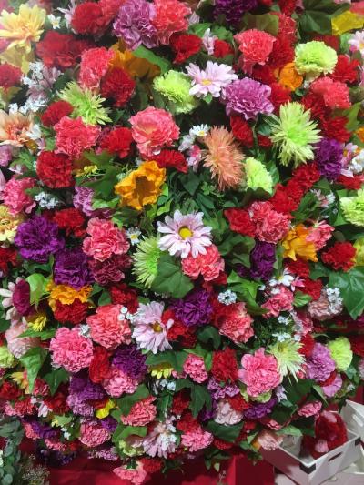 【福井岐阜 県境越えて 春きたる 揖斐へ】20240331