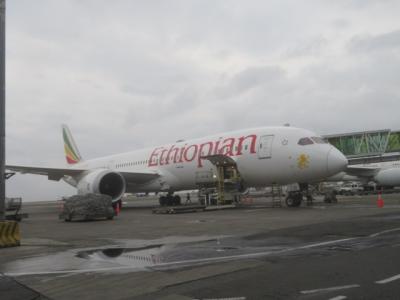 エチオピア航空に乗って成田からジンバブエ・ビクトリアフォールズ往復（仁川経由アディスアベバ乗継）