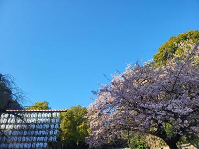 ちょっとお上りさん「東京」