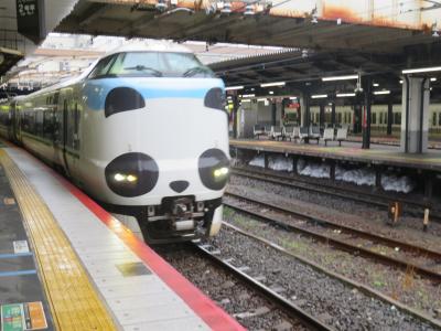 白浜温泉への旅　温泉宿で３泊の温泉三昧　アドベンチャーワールドにもいきました