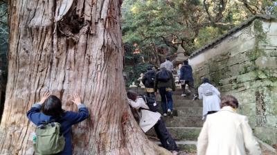 壱岐対馬  ばぁばの徘徊旅③  対馬万松院