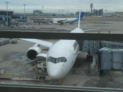 2024年3月　JL006 羽田（HND）－ニューヨーク（JFK）線A350-1000搭乗記