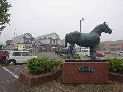 北海道フリーパスで新大楽毛駅、大楽毛駅訪問