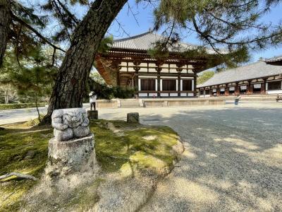 奈良　唐招提寺～秋篠寺～秋篠釜を散策