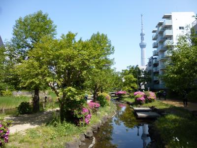 春の下町散歩（７）錦糸町