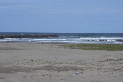 平井浜で散策＆バードウォッチング [2022](1)