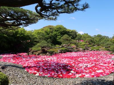 JR西日本株主優待を活用して山陰周遊一人旅