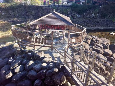 伊豆マリオットホテルスティと修善寺観光　行きにサフィール踊り子号、帰りに踊り子に乗ってみた