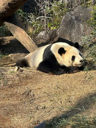 上野動物園