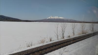 北海道にちょっくら帰省☆函館空港まで飛行機→