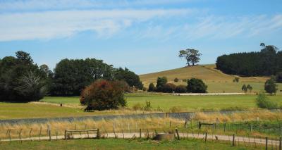 2024年２月 ①タスマニアの動植物を見る！自然大好き娘と二人旅 　マラクーパ鍾乳洞