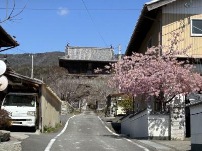 2024/3 徳島お遍路2日目その2(九～七番札所)