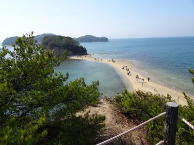 初めての香川<2> 小豆島をレンタカーで散策 (2024年3月)