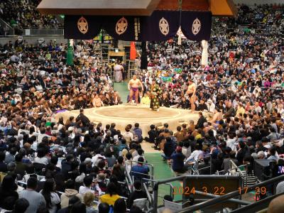 大相撲三月場所（大阪場所）に行ってきました。 2024年3月22日（金）　13日目