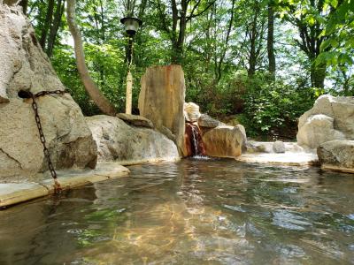 長野→富山→岐阜　ローカル線と温泉をめぐる12日間《大糸線編》【8：JR西エリアで湯巡り&駅巡り　①雨飾高原露天風呂と姫川駅】