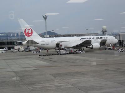 久々の　空旅　吉野ヶ里へ！