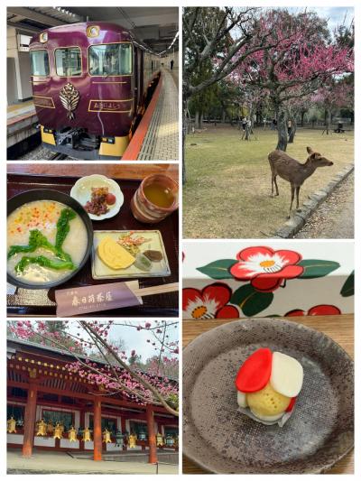 あをによしに乗って椿生和菓子を買いに(⁎˃ᴗ˂⁎)奈良へ2024年3月&#11088;︎早春