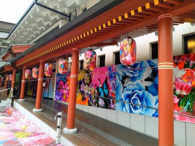 四国 愛媛 道後温泉への旅~!!ホテル 椿館