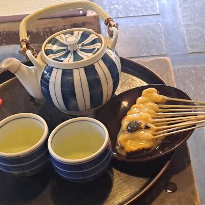 友達と京都で美味しいもの食べて伊丹空港から空路羽田へ戻る一泊の京都旅行