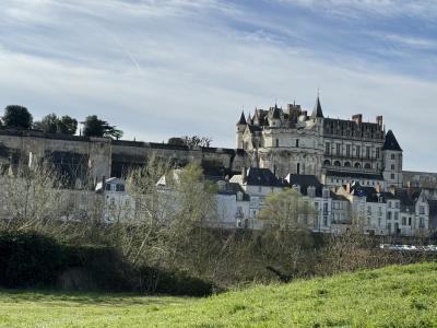 歴代のフランス王の居城となったロワールの古城を駆け足で巡った。