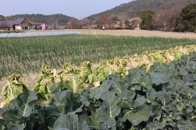 徳島*鳴門で１泊♪後編【ベイリゾートホテル鳴門海月・渦の道・淡路ファームパーク イングランドの丘】