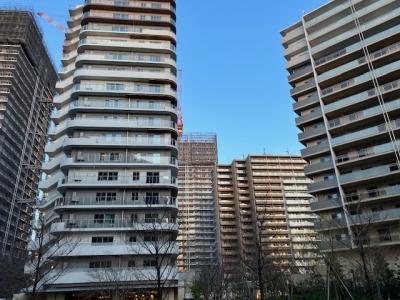 下町情緒溢れる深川（深川不動堂、富岡八幡宮）新世代の街　晴海フラッグ（東京オリパラ選手村跡地）の高層マンション群－２０２４年　３月。