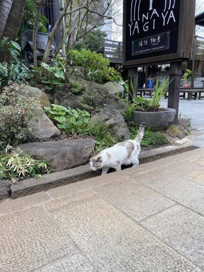 2泊3日　別府　鉄輪温泉　湯治宿ひとり旅