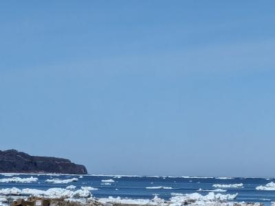 日々の散歩で撮りためた流氷の写真をアップ致します・