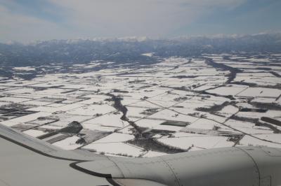 ただいま!十勝・帯広 ~北海道の旅 春の陣2024①~