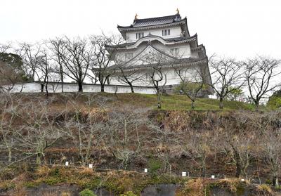 大多喜城と久留里城