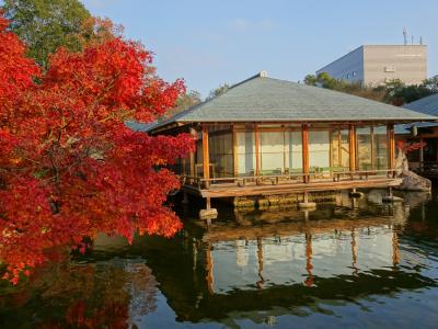 広島で紅葉三昧（１日目）