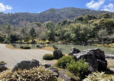 ⑮マダムの桜15景　華やぎの京都3日間　3日目の２　天龍寺