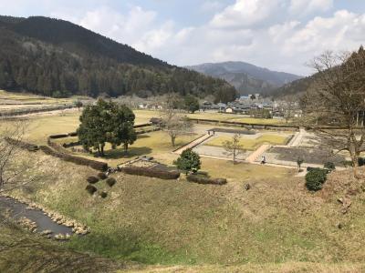 福井県の城跡巡り：一乗谷朝倉氏遺跡ウォーキング、朝倉館跡の背後の山の一乗谷城跡の城下町跡