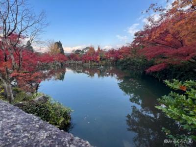 2023 秋の京都 紅葉の一人旅