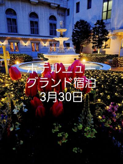 ホテルニューグランド宿泊3月30日