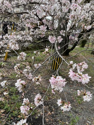 柳川　久留米１泊２日ひとり旅　2日目