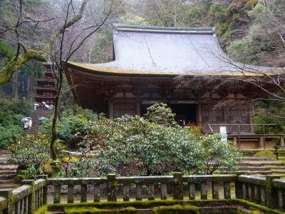 奈良　室生寺　水の神の聖地 
