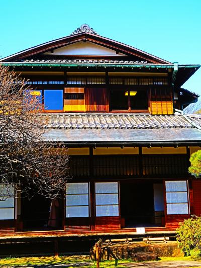 江戸東京たてもの園-5　旧財閥/三井本家の邸宅　☆豪勢な応接室　和風住宅/三階蔵　庭園も見事