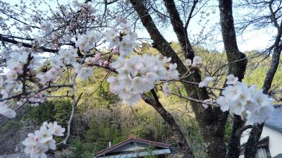 憧れの大井川鐵道（２）