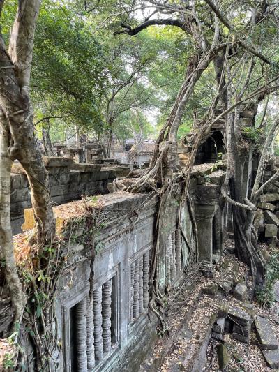 コーケー遺跡群とベンメリア遺跡に行って来ました。