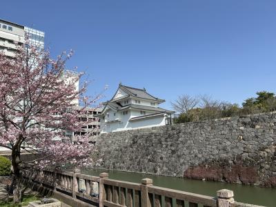 2024/3 駿府城&amp;静岡・清水日帰り旅行 1/2