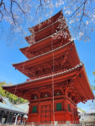 身延山久遠寺　2024・桜 & ゆるキャン△