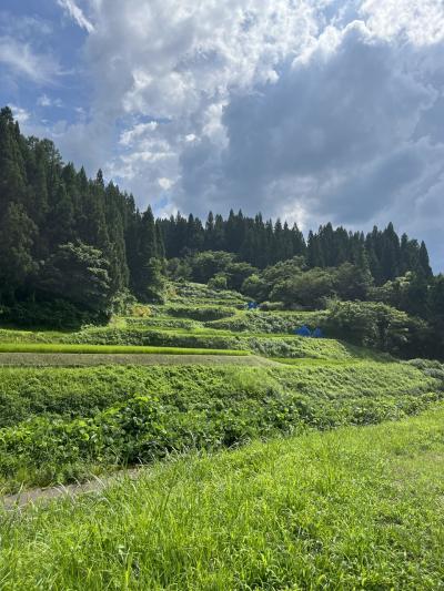 美味しいものを食べる旅