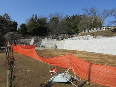 西林寺は再建工事中です