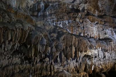 ロックな旅？ 特典航空券＋フェリー＋路線バス＋レンタサイクルで マニアック徳之島＆沖永良部島〈昇竜洞も行くぜ!!〉