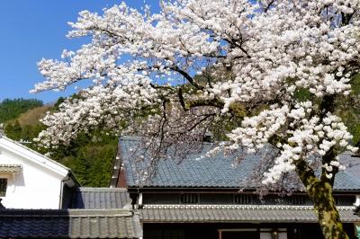 桜の鯖街道・若狭熊川宿