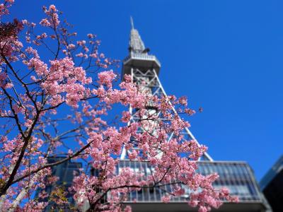 2024年冬 名古屋三大天神まいり（山田天満宮、上野天満宮、桜天神社）