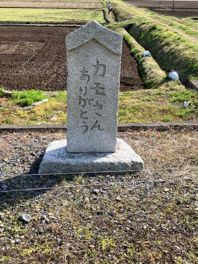 日光水戸駅伝単独走【第９区】29.9Km　塩子→水戸