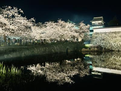 福岡桜の共演   ☆ 西公園 ☆ 大濠公園 ☆ 舞鶴公園(福岡城跡)